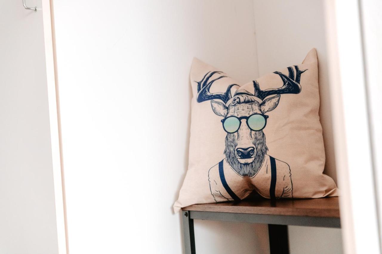 Cozystay - Gemuetliche Wohnung Im Oberharz ザンクト・アンドレーアスベルク エクステリア 写真